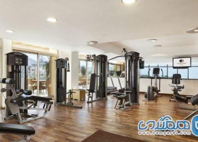 برترین باشگاه های بدنسازی بانوان قم 1404: راهنمای جامع انتخاب مراکز لوکس، تخصصی و علمی برترین باشگاه های بدنسازی بانوان قم 1404: راهنمای جامع انتخاب مراکز لوکس، تخصصی و علمی